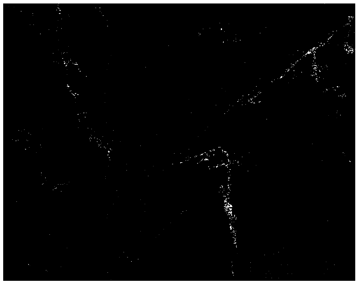 A Multi-angle SAR Image Fusion Method Based on Visibility Classification