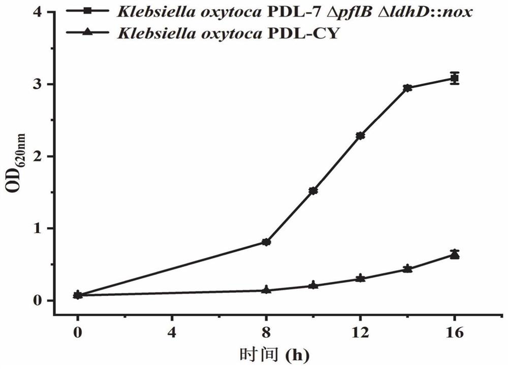 Method for improving capacity of producing pyruvic acid with engineering bacteria by knocking out pyruvic acid transport protein genes