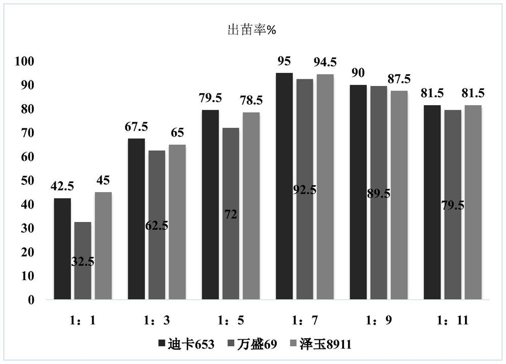 Seed dressing fertilizer synergist capable of improving high temperature and high humidity resistance of corn seeds