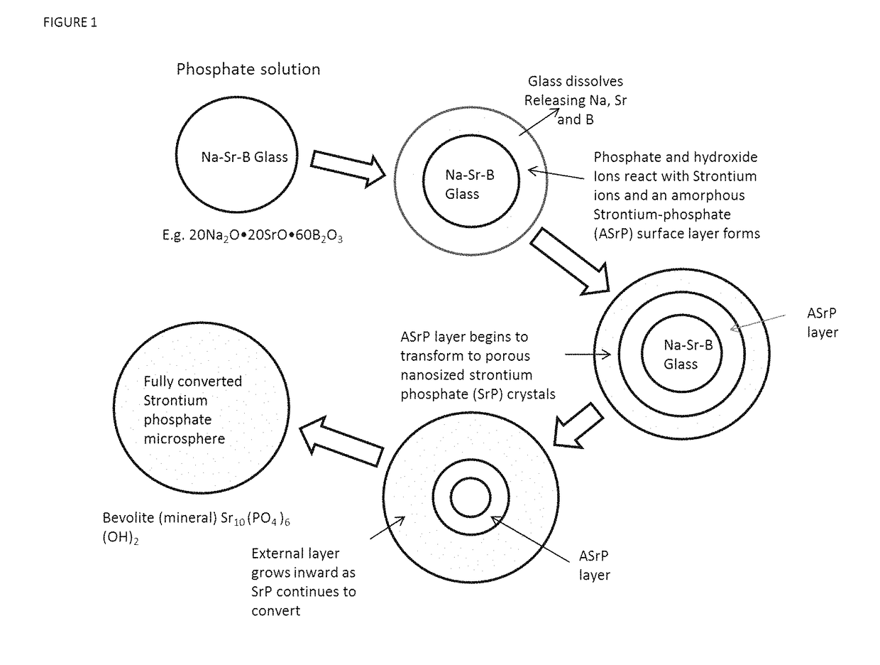 Strontium phosphate microparticle for radiological imaging and therapy