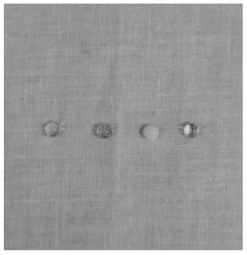 Fluoride-free durable super-hydrophobic cotton cloth and preparation method and application thereof