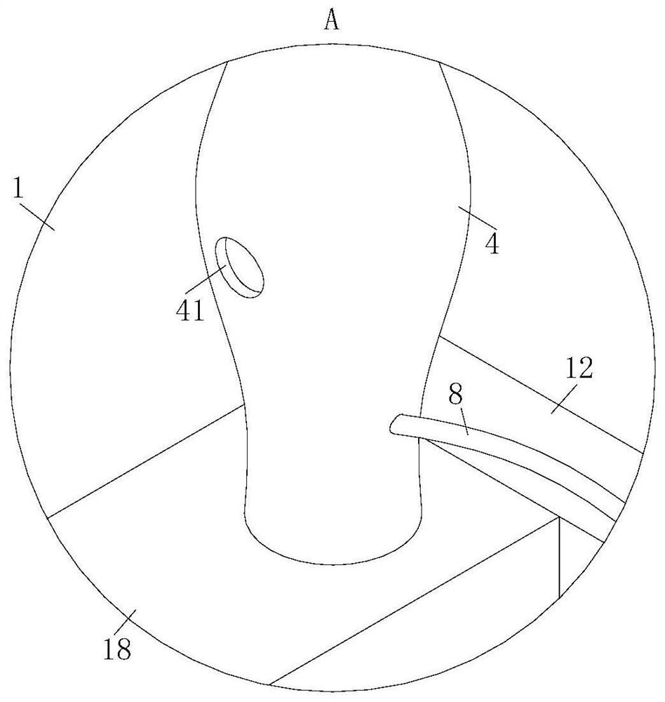 An electronic information engineering image acquisition and processing device