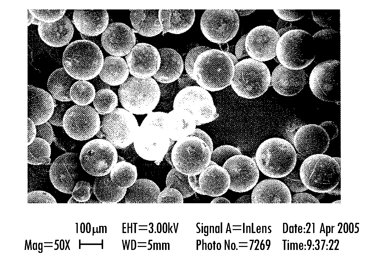 Loadable Polymeric Particles For Enhanced Imaging In Clinical Applications And Methods Of Preparing And Using The Same