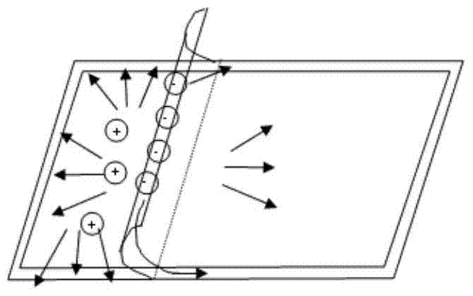 A kind of polarizer and its preparation method and display screen