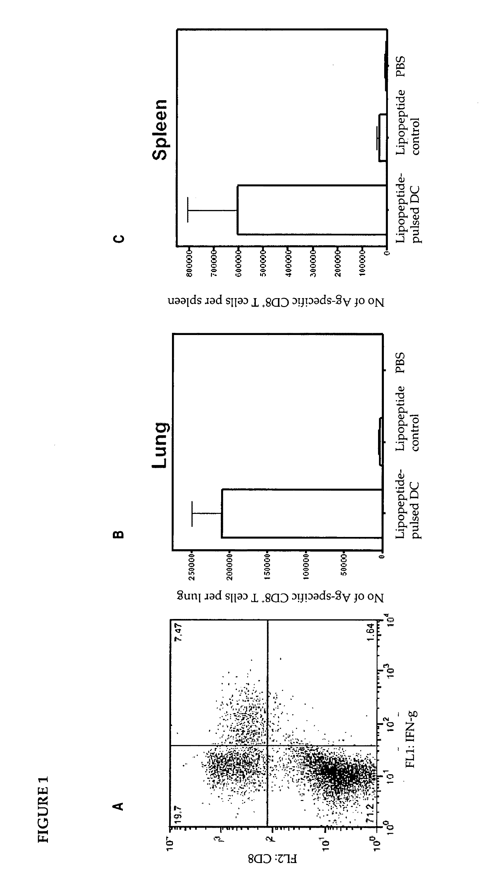 Immunotherapy of virus infection