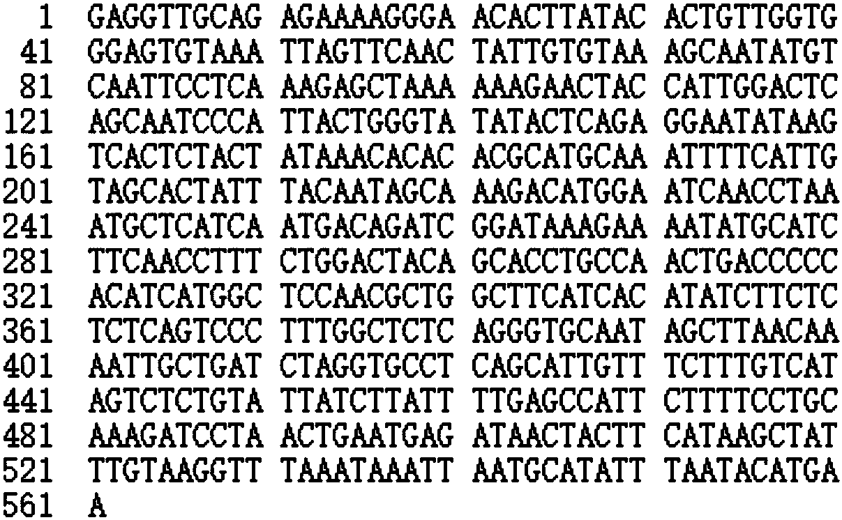 Long-chain non-coding RNA PRALR, and expression plasmid and use thereof