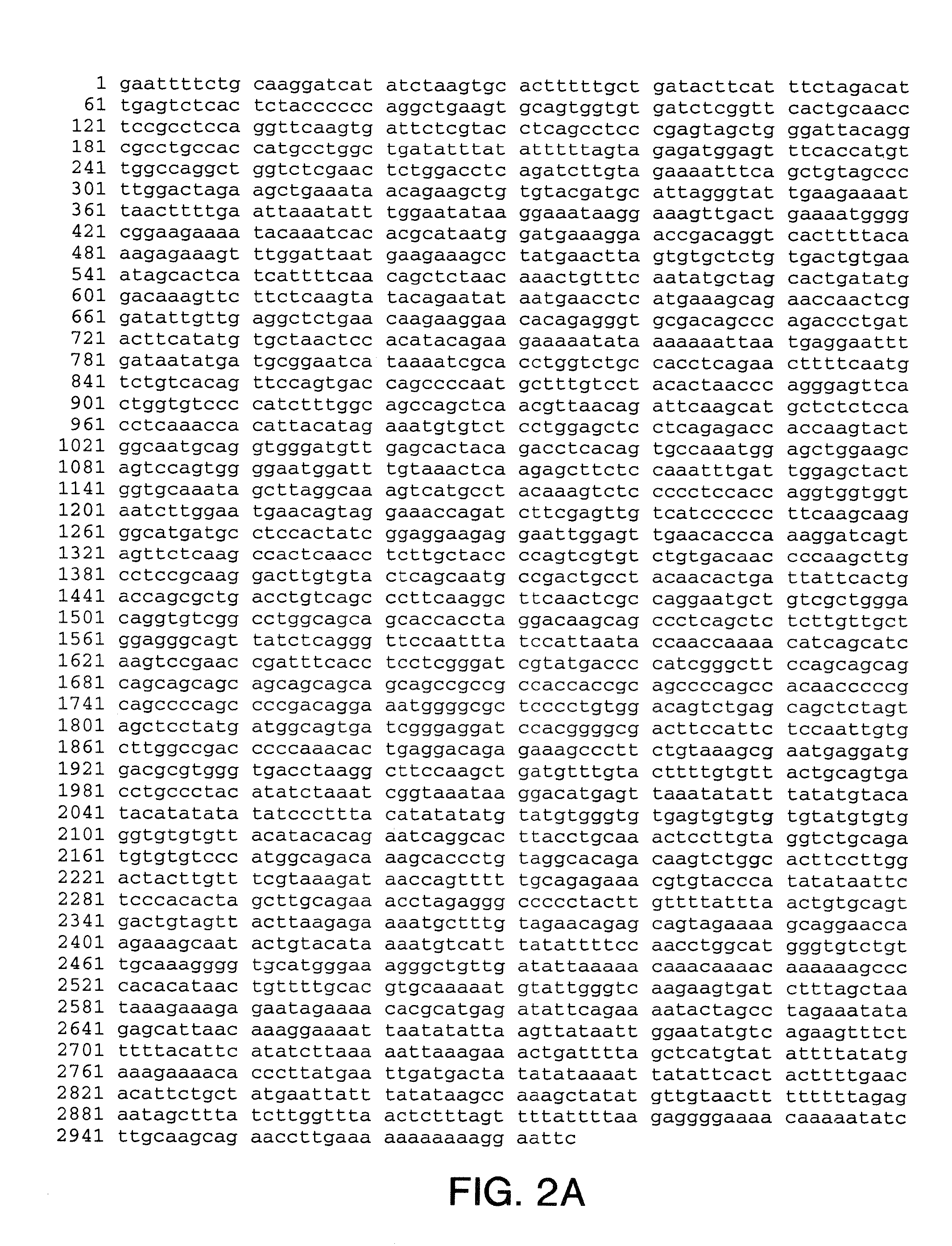 Methods of differentiating and protecting cells by modulating the p38/mef2 pathway