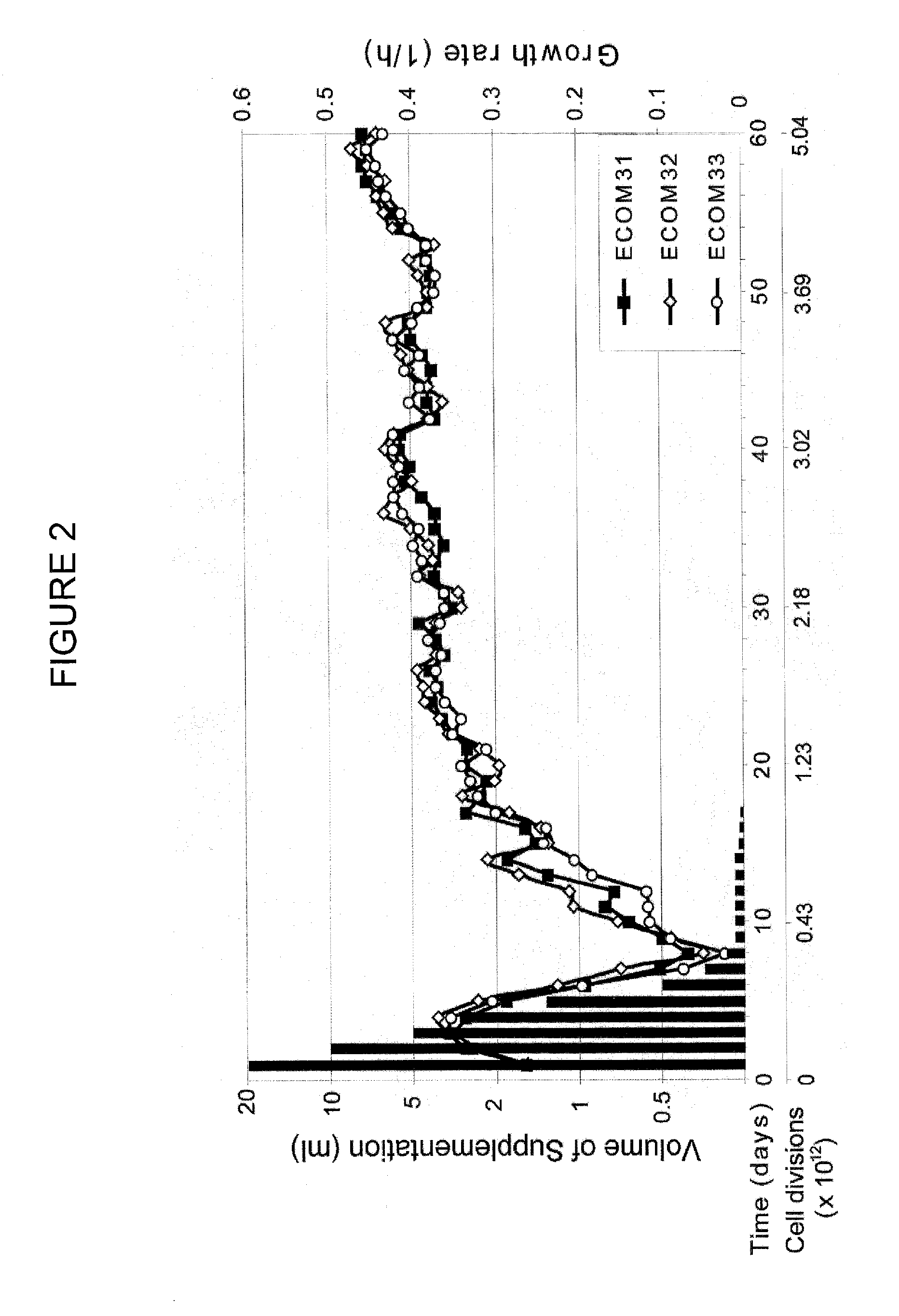 Escherichia coli metabolic engineering oxygen independent platform strains and methods of use thereof