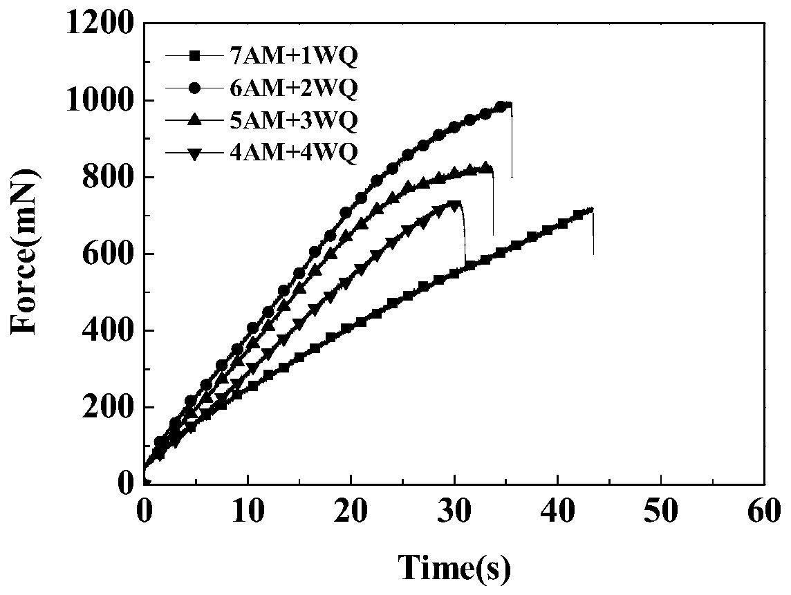 Acrylamide/polymerizable microsphere composite gel as well as preparation method and application thereof