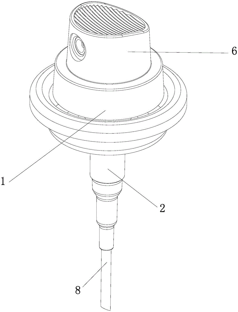 A sprayer with grab mouth structure for easy connection