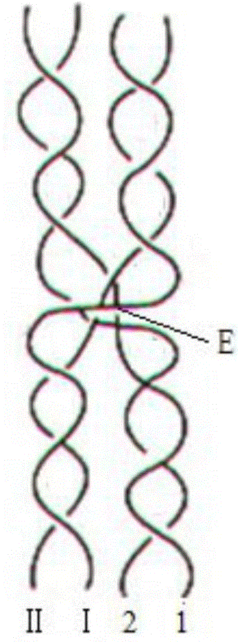 Double-layer fabric with cross-closed structure and its weaving method