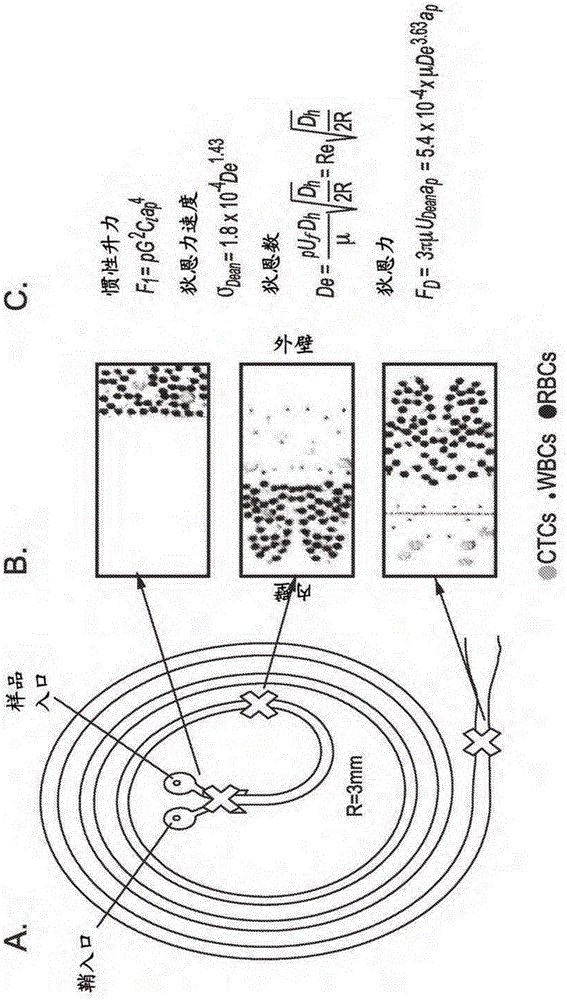 Systems, apparatus, and methods for sorting particles