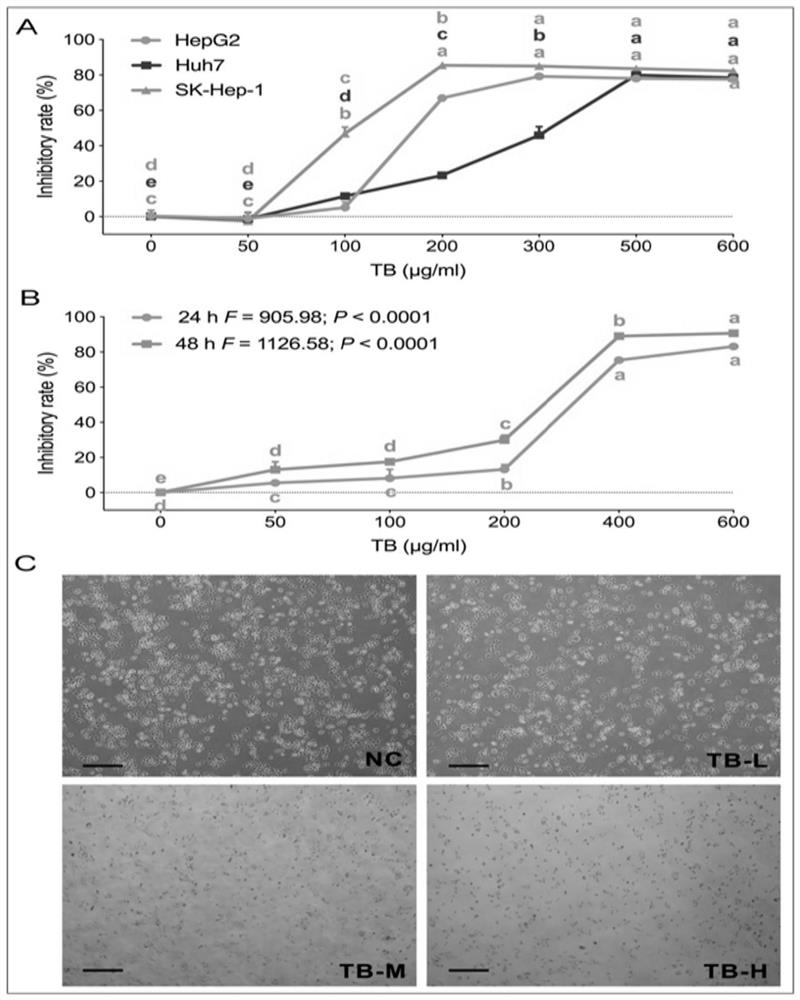 Application of theabrownin to preparation of medicine for treating liver cancer