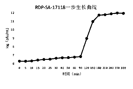 A strain of Proteus mirabilis phage rdp-sa-16033 and its industrial production process