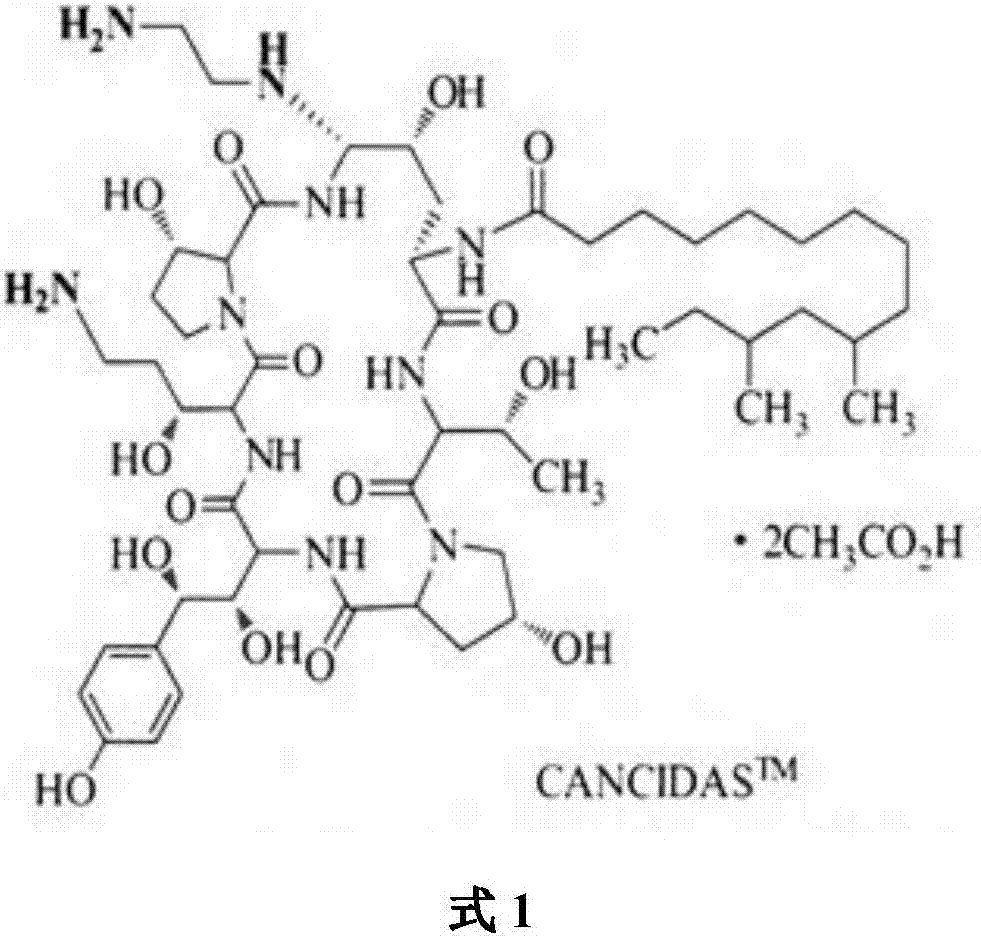 Aspergillus and method for producing pneumocandin B0 by using aspergillus