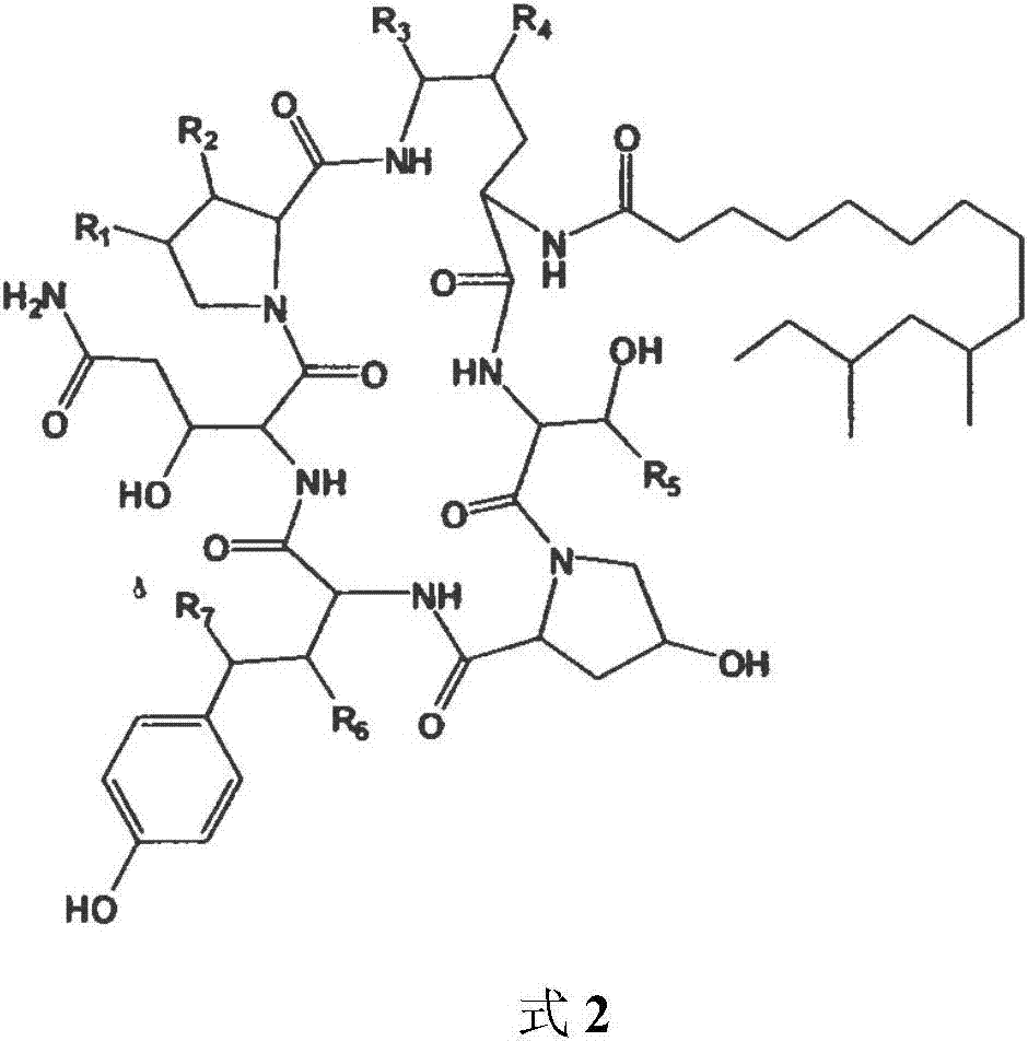 Aspergillus and method for producing pneumocandin B0 by using aspergillus