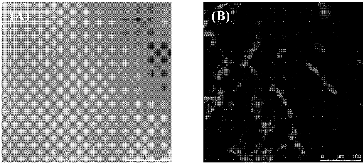 Preparation method and application of double-mode molecular probe based on gadolinium doped carbon point