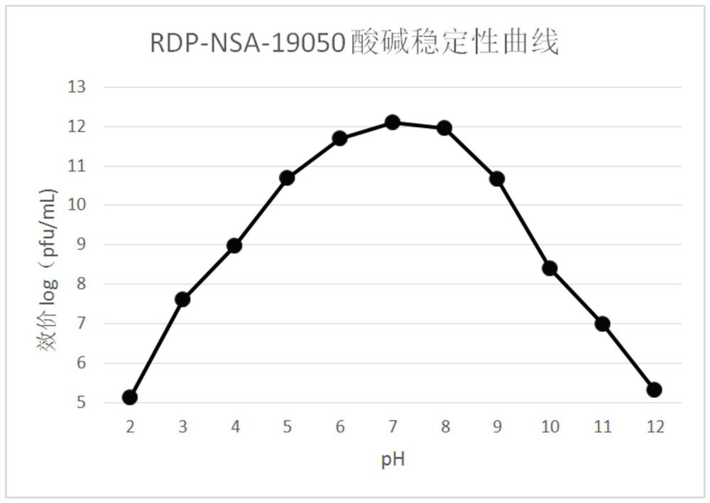 Salmonella bacteriophage RDP-NSA-19050 with wide lysis spectrum and application thereof