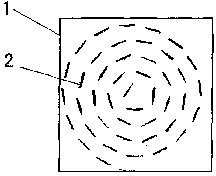 Invasive inclined needle skin-painless dry electrode device for recording electro-physiological signals for long term