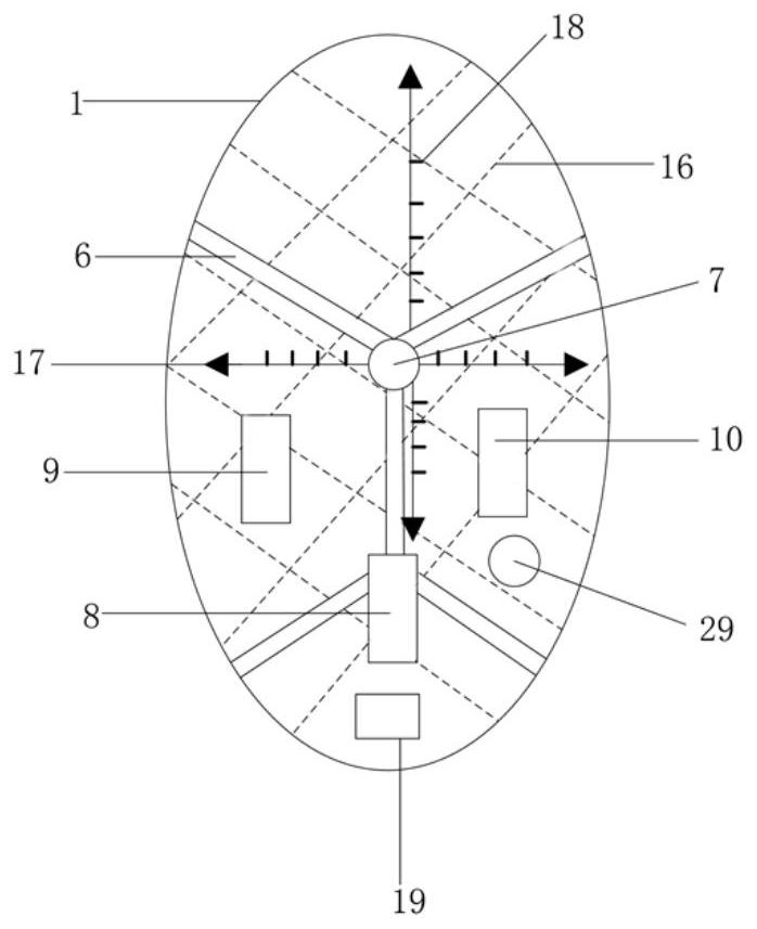 Leveling inspection and calibration device for mouse stereotactic skull