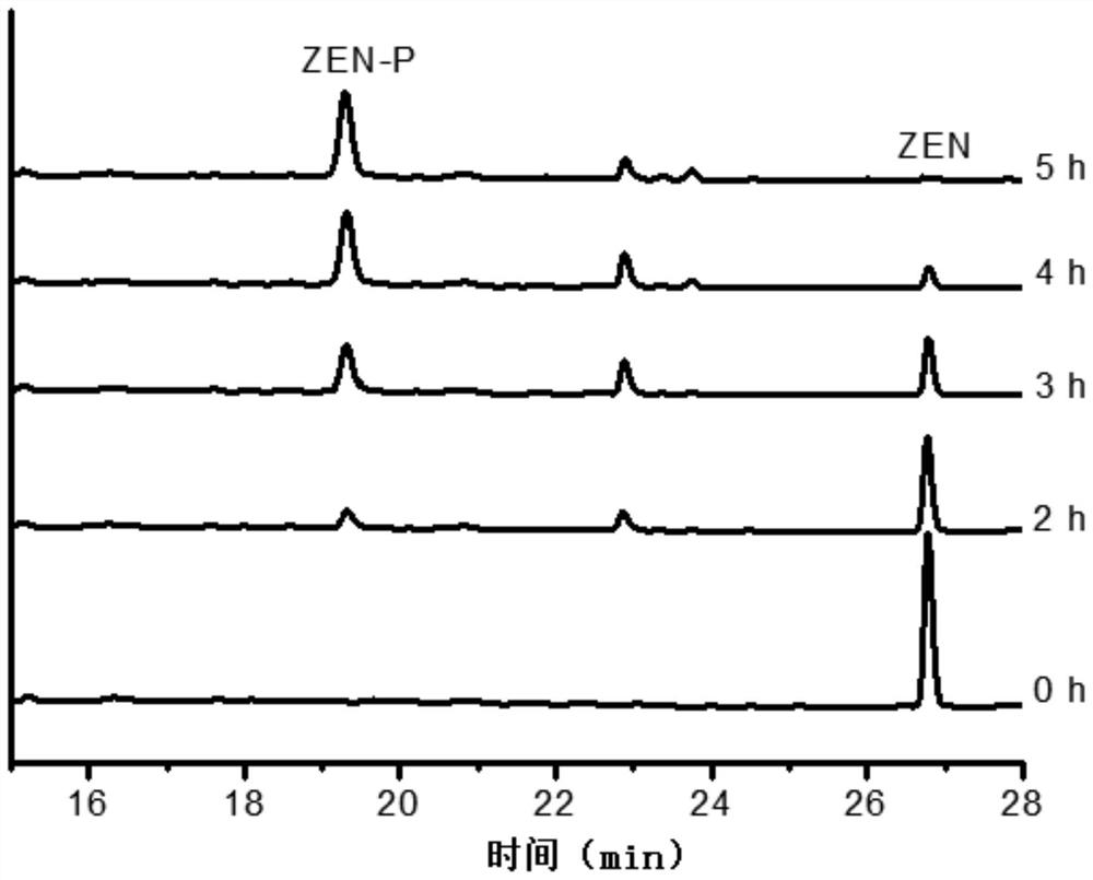 Bacillus subtilis and application thereof in degrading zearalenone