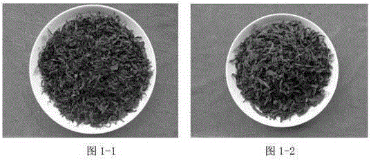 A kind of preparation method of jujube bud leaf green tea