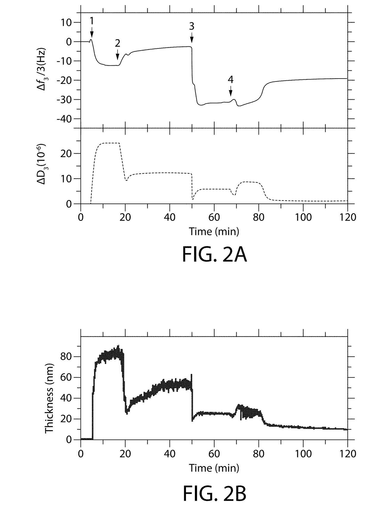 Oral Care Compositions and Methods for Anti-Attachment Polymers and Coatings