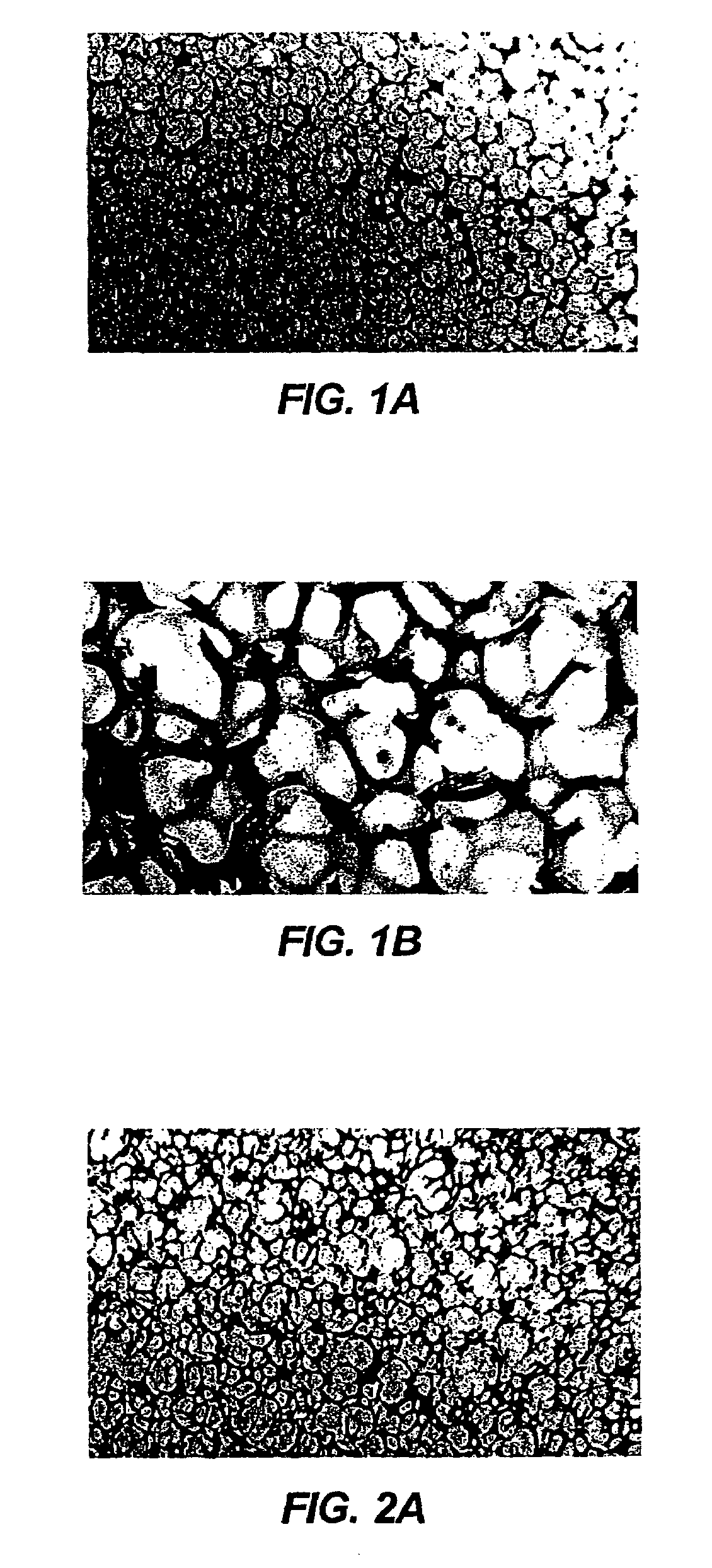 Reticulated material body support and method
