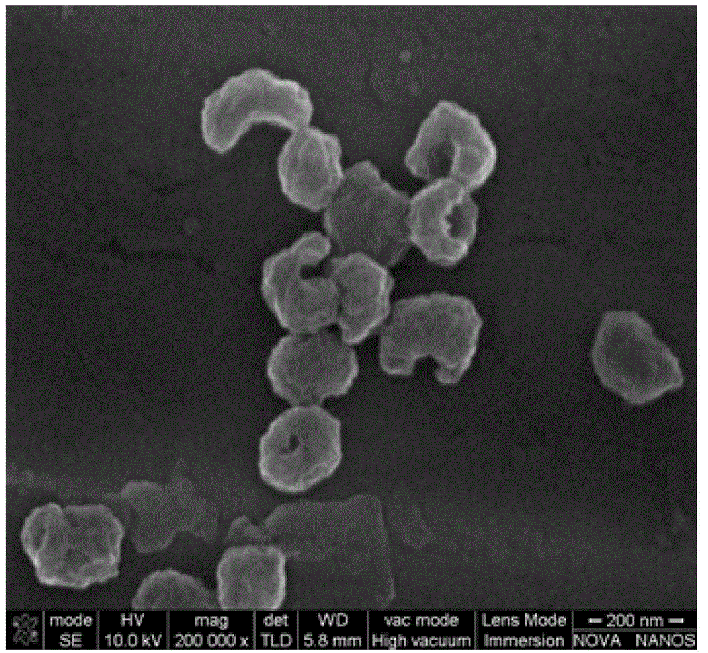 A kind of concave polyacrylonitrile nanoparticle and preparation method thereof