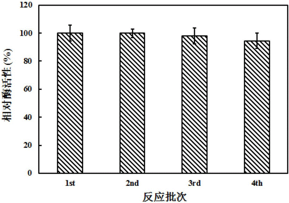 Gene for coding glutamine dipeptide biosynthetic enzyme and application thereof
