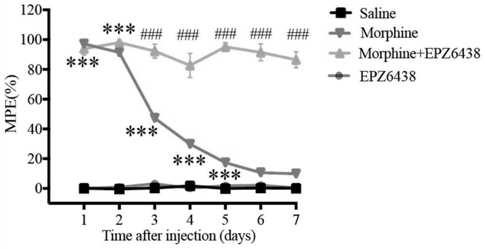 Application of inhibitor in relieving morphine tolerance