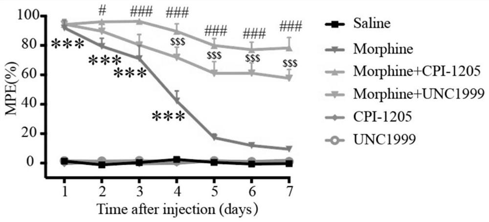 Application of inhibitor in relieving morphine tolerance