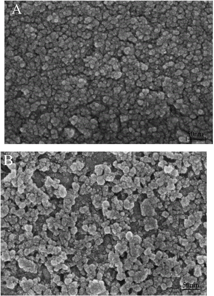 Molecular imprinting electrochemical sensor for detecting trace bisphenol A