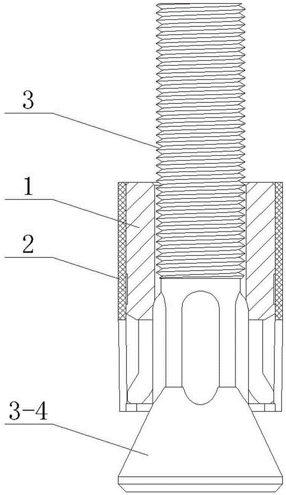 Back bolt