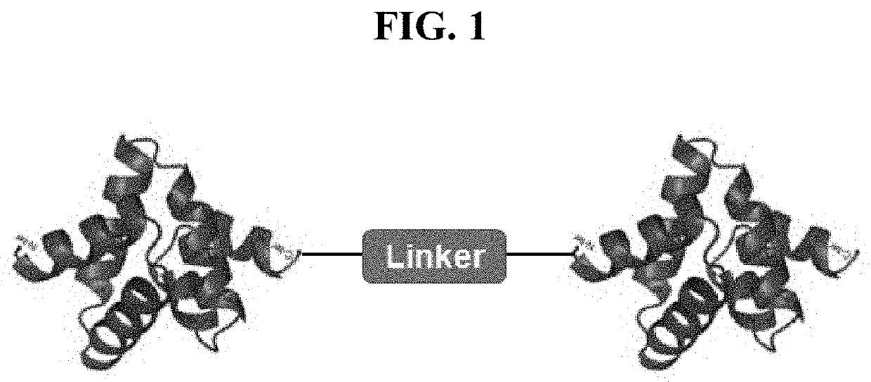 Cell-penetrating peptide dimers, method for preparing the same, and cargo delivery system using the same