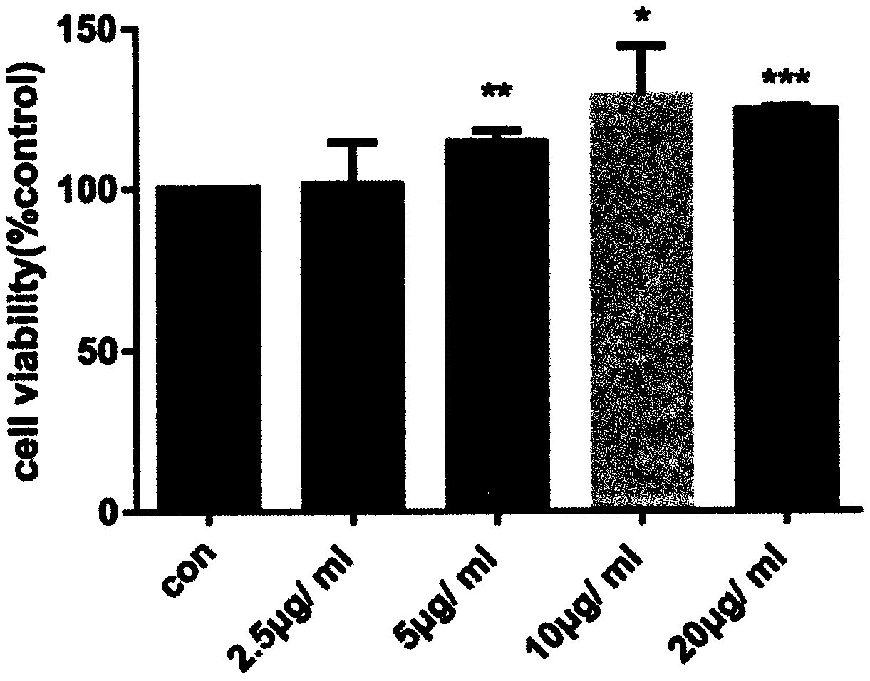 Sargassum fusiforme polypeptide with wound healing promoting effect and application thereof