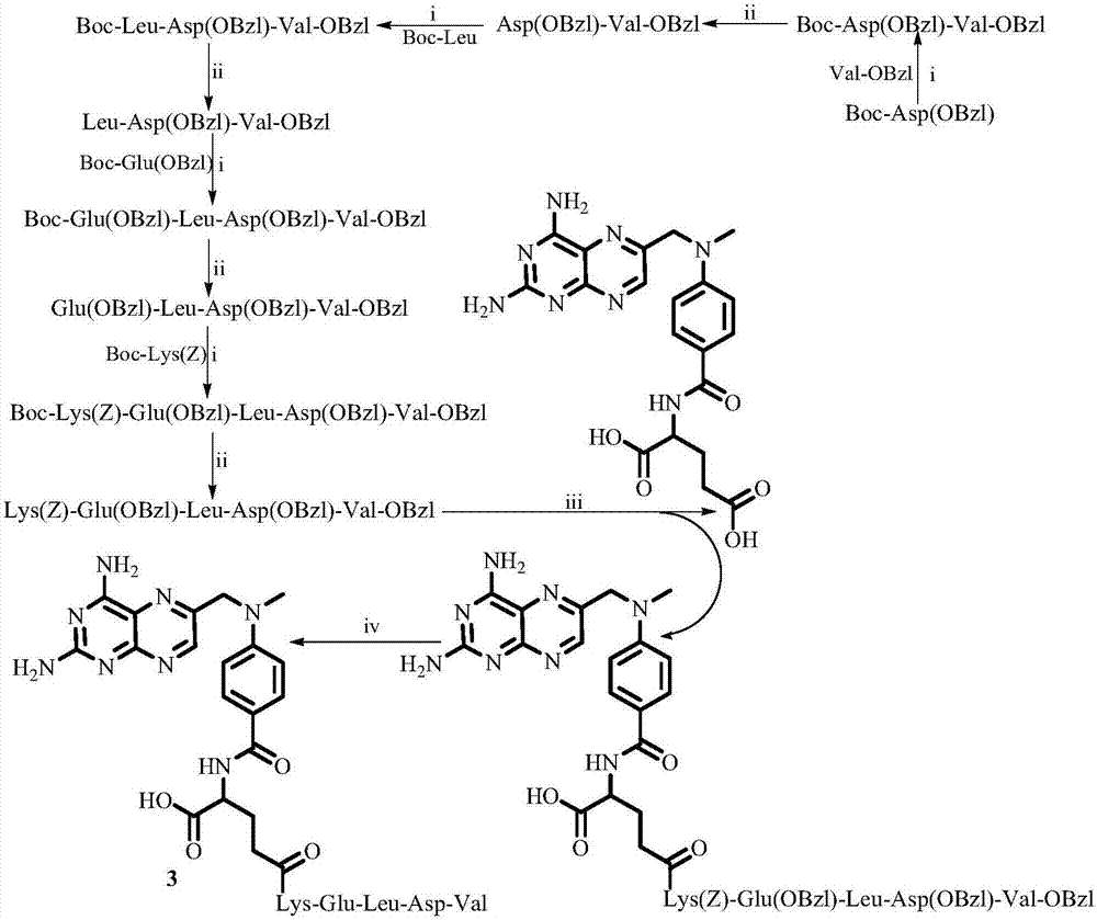 2, 4-diamido-6-pteridine methyl methylamino aminobenzene benzoyl-Glu-peptide, and compound, activity and application thereof