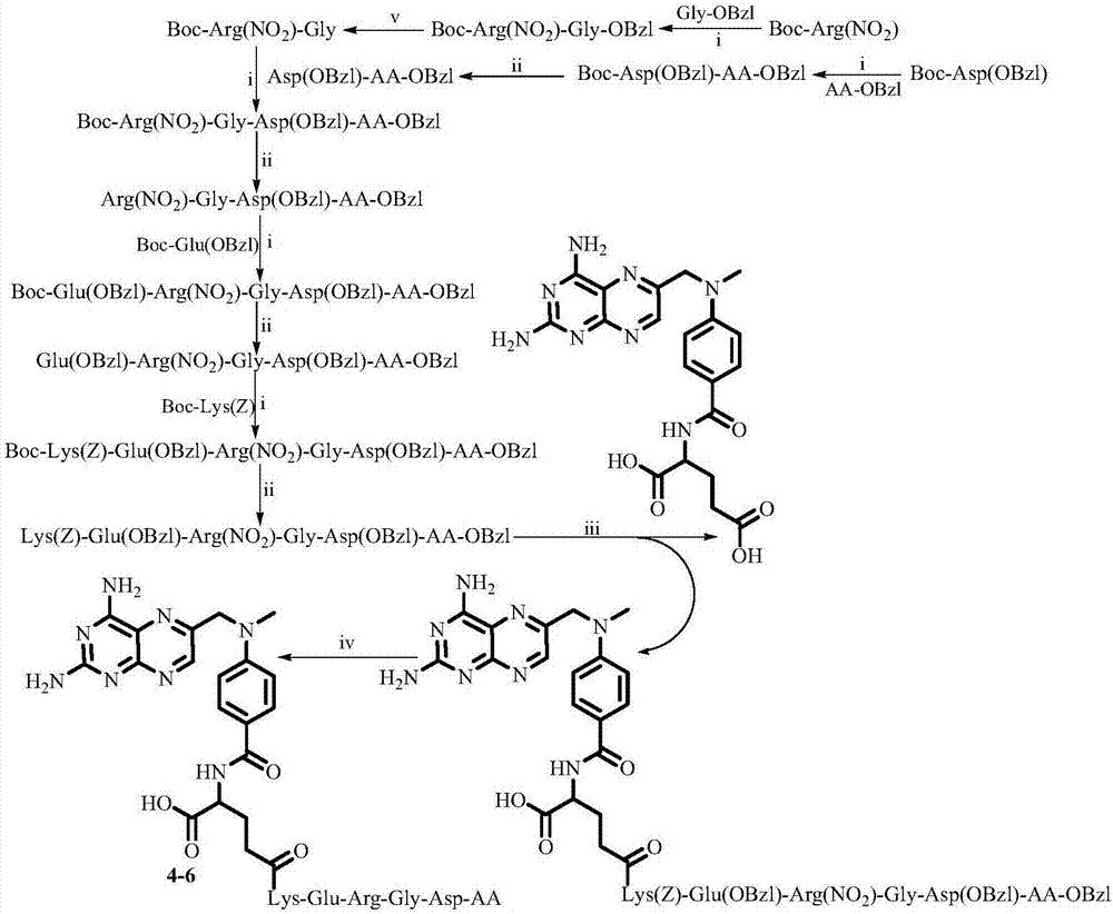 2, 4-diamido-6-pteridine methyl methylamino aminobenzene benzoyl-Glu-peptide, and compound, activity and application thereof