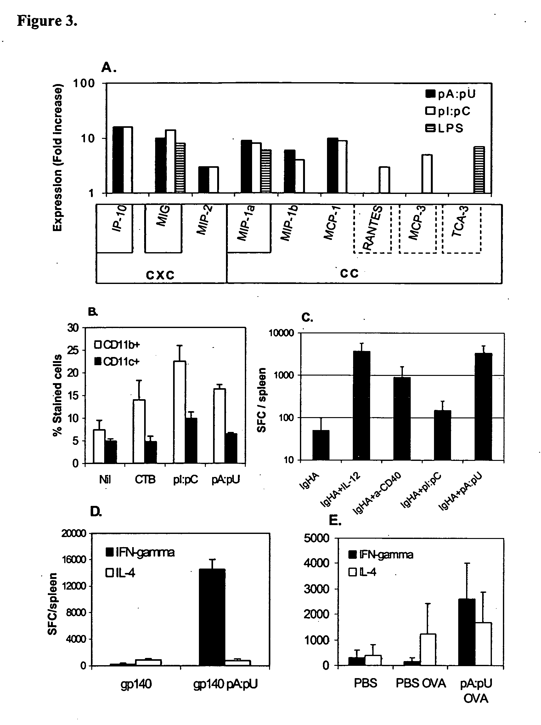 Compositions and methods to initiate or enhance antibody and major-histocompatibility class I or class II-restricted t cell responses by using immunomodulatory, non-coding rna motifs