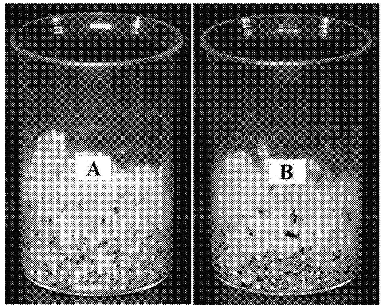 Method for preparing a degradable material