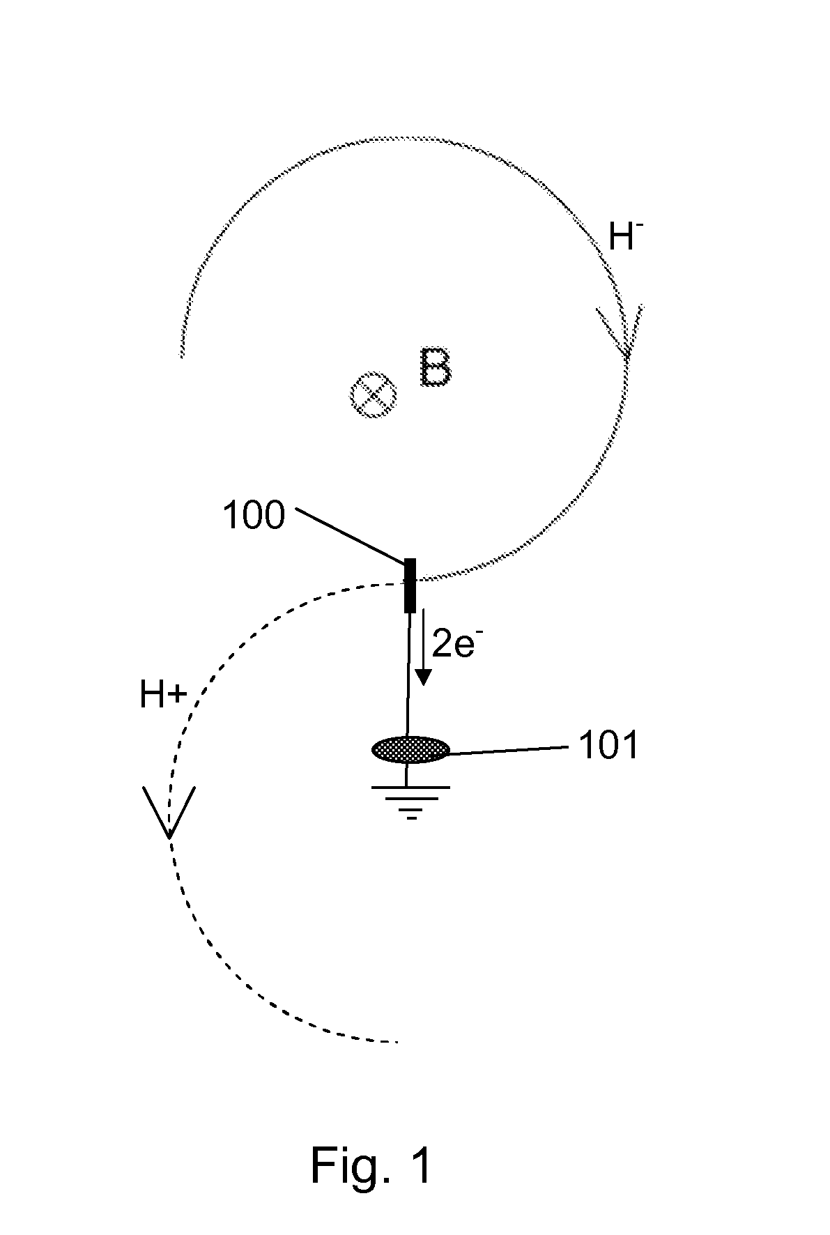 Stripping Member, A Stripping Assembly And A Method For Extracting A Particle Beam From A Cyclotron