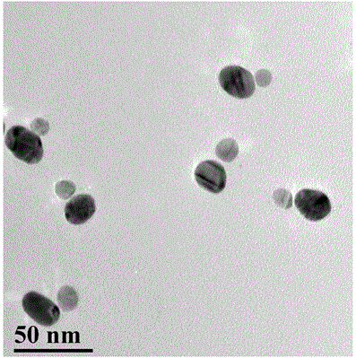 Au/Ag nanoparticle dipolymer raman signal-based method for performing ultra-sensitive detection on folic acid