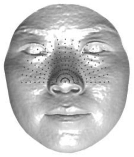 A 3D face recognition method under partial occlusion based on radial lines
