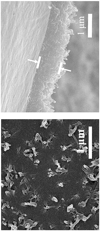 Method for preparing high-crystallinity covalent organic framework film by using ionic liquid-water interface