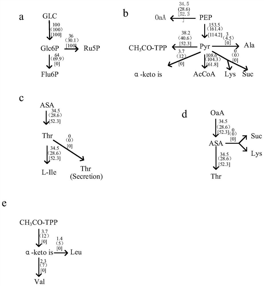 Glucose control process for increasing yield of L-isoleucine