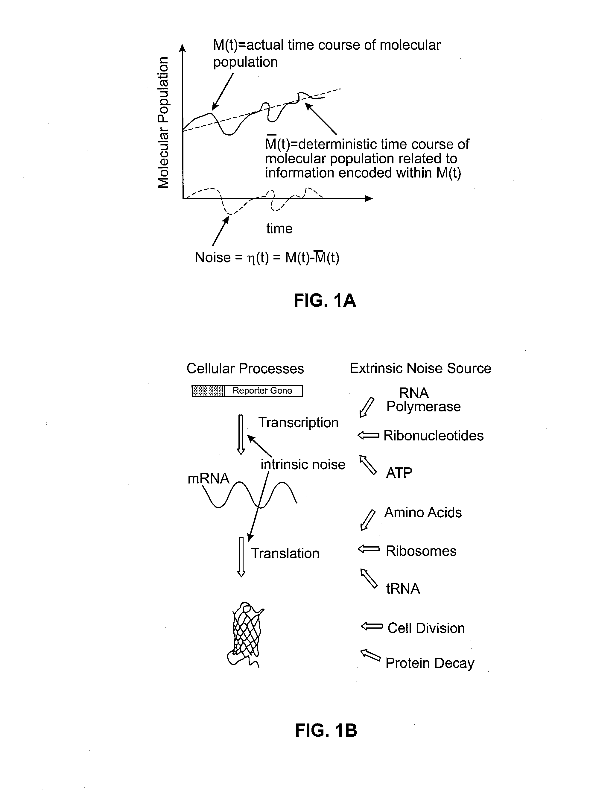 Compositions, systems and methods for gene expression noise drug screening and uses thereof