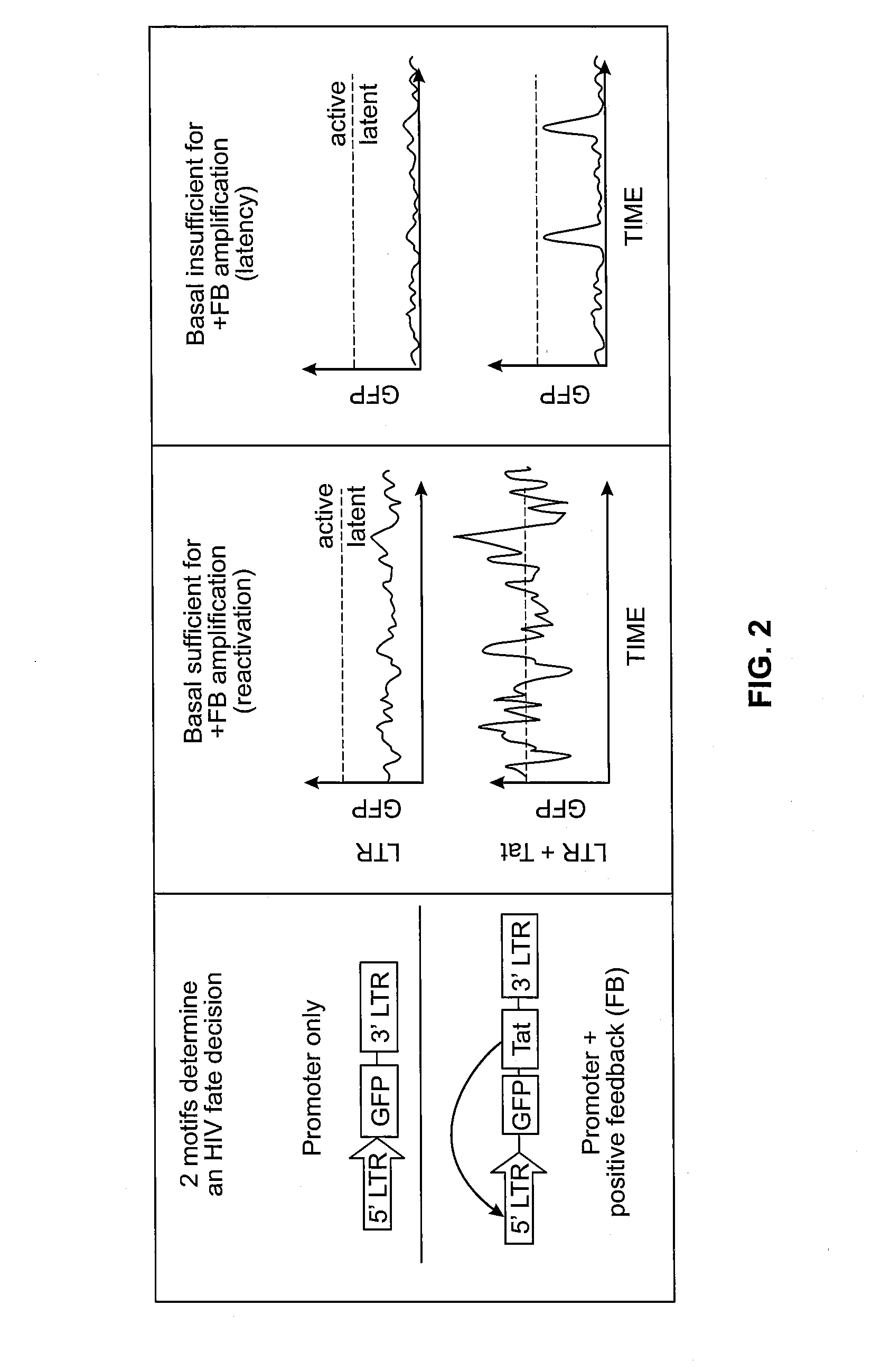 Compositions, systems and methods for gene expression noise drug screening and uses thereof