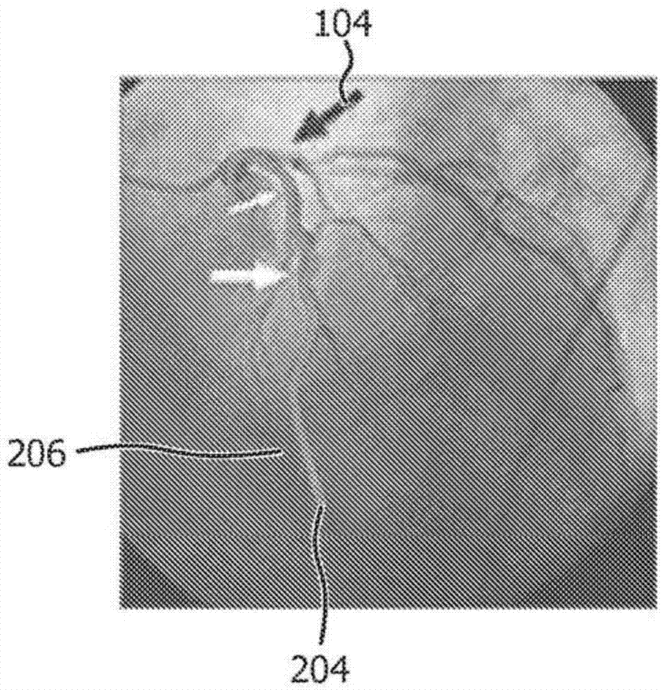 Curved multi-planar reconstruction by using optical fiber shape data