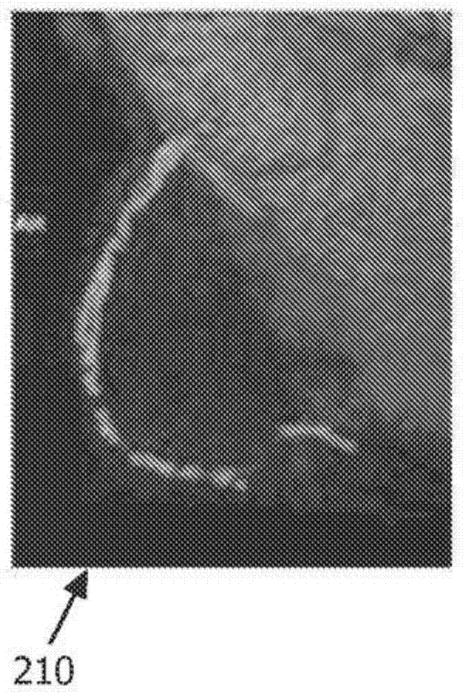 Curved multi-planar reconstruction by using optical fiber shape data