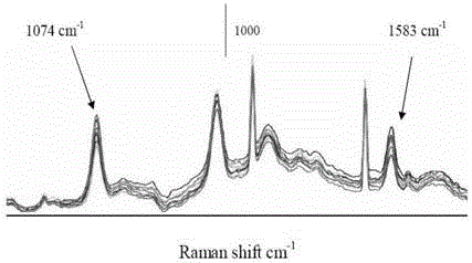 Immunochromatographic detection method of Norovirus Raman microprobe labeling